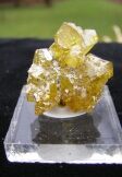 Golden Sphalerite Crystals - Balmat, NY - For Sale