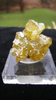 Golden Sphalerite Crystals - Balmat, NY - For Sale