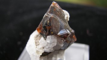 Sphalerite Crystal - Canada