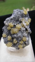 Golden Sphalerite Crystals - Lockport- New York - For Sale