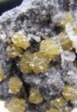 Golden Sphalerite Crystals - Lockport, New York - For Sale