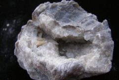 Ponderosa Brachiopod with Dogtooth Calcite For Sale