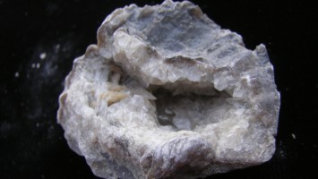 Ponderosa Brachiopod with Dogtooth Calcite For Sale