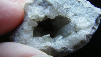 Ponderosa Brachiopod with Dogtooth Calcite - For Sale