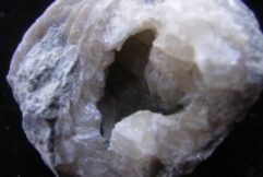Ponderosa Brachiopod with Calcite - Ordovician - For Sale