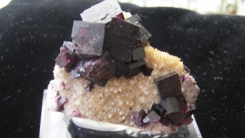 Fluorite Crystals on Quartz - Canada - For Sale