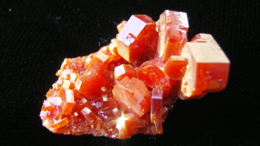 Vanadinite Crystals - Mibladen, Morocco - For Sale