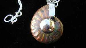 Iridescent Ammonite Necklace - For Sale