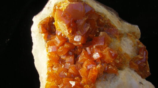 Wulfenite Crystals - Chihuahua, Mexico - For Sale