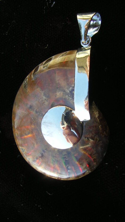 Iridescent Ammonite Pendant - For Sale