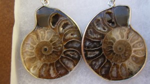 Ammonite Jewelry - Earrings - Madagascar