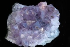 Natural Fluorite Crystal Cluster For Sale - Fossils-Crystals.com