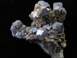 Galena with Pyrite - Peru - For Sale - Fossil-Crystals.com
