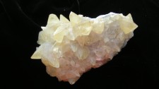 Dogtooth Calcite - Western NY - For Sale - Fossils-Crystals.com