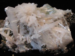 Scolecite Crystal Spray with Apophyllite- For Sale