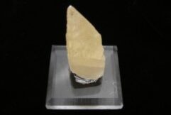 Dogtooth Calcite Crystal - For Sale- Fossils-Crystals.com