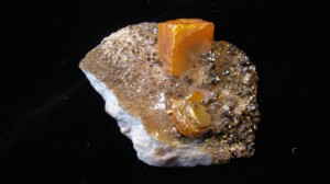 Wolfenite Crystal For Sale - Fossils-Crystals.com