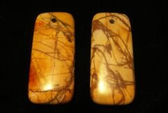 Picasso Jasper Earrings - For Sale - Fossils-Crystals.com