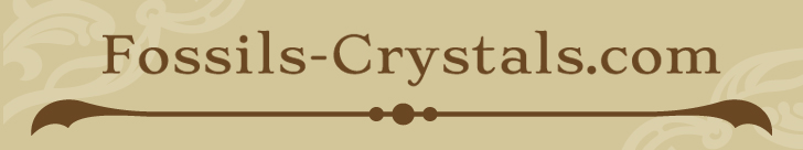 Fossils Crystals
